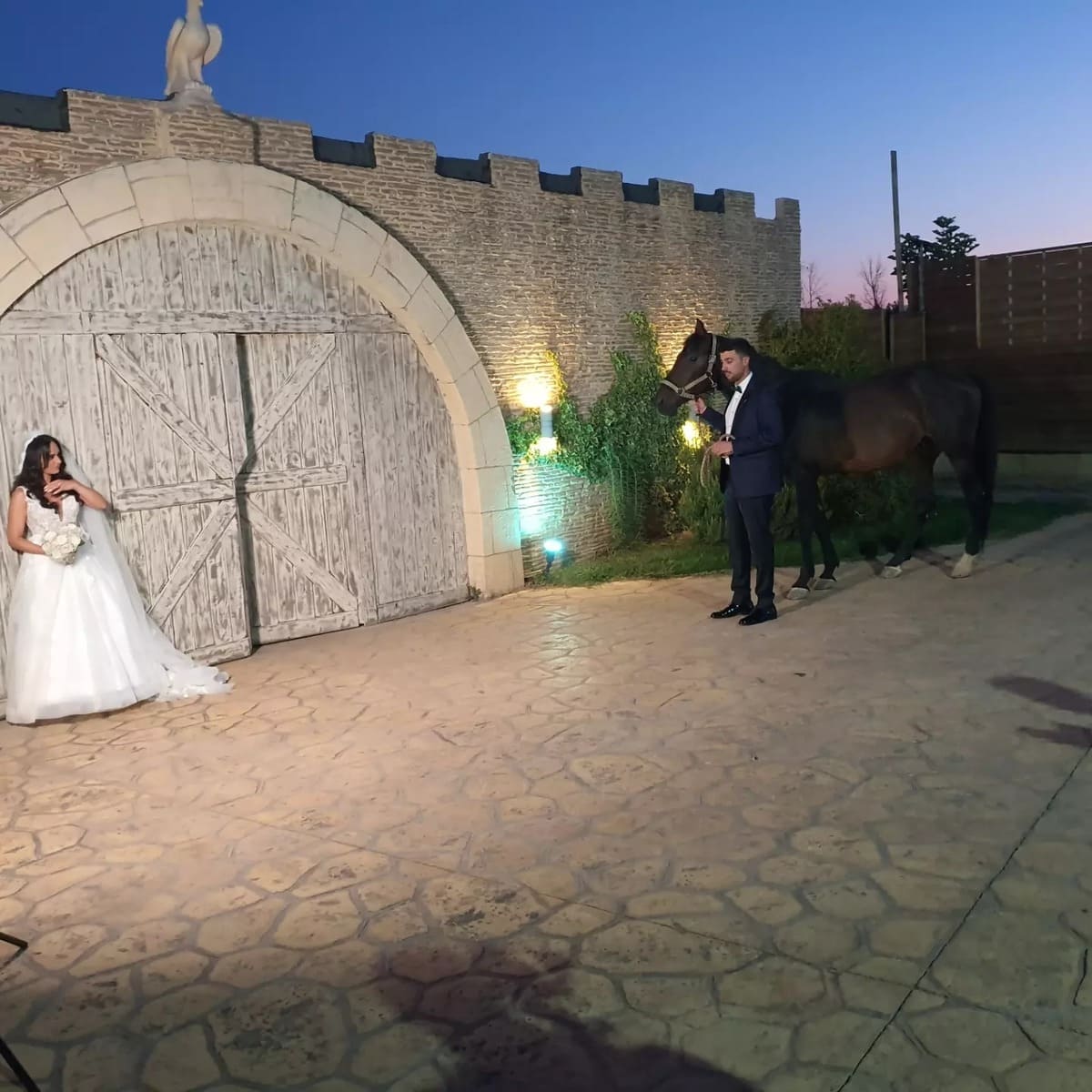 Varibobi Club  portfolio